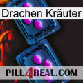 Drachen Kräuter 03